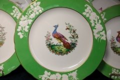 SPODE CHELSEA  BIRD GREEN R4689 SCALLOPED- DINNER PLATE  #2   .....         http://jaapiesfinechinastore.com