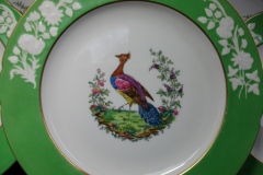 SPODE CHELSEA  BIRD GREEN R4689 SCALLOPED- DINNER PLATE  #3   .....         https://www.jaapiesfinechinastore.com