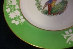 SPODE CHELSEA  BIRD GREEN R4689 SMOOTH-  LUNCH PLATE  #2   .....         http://jaapiesfinechinastore.com