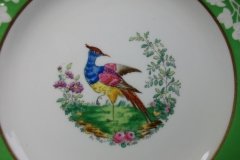 SPODE CHELSEA  BIRD GREEN R4689 SMOOTH-  LUNCH PLATE  #3   .....         http://jaapiesfinechinastore.com