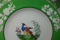 SPODE CHELSEA  BIRD GREEN R4689 SMOOTH-  LUNCH PLATE  #3   .....         http://jaapiesfinechinastore.com