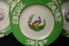 SPODE CHELSEA  BIRD GREEN R4689 SMOOTH-  LUNCH PLATE  #4   .....         http://jaapiesfinechinastore.com
