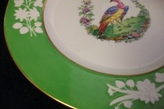SPODE CHELSEA  BIRD GREEN R4689 SMOOTH-  LUNCH PLATE  #5   .....         http://jaapiesfinechinastore.com