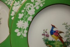 SPODE CHELSEA  BIRD GREEN R4689 SMOOTH-  LUNCH PLATE  #6   .....         http://jaapiesfinechinastore.com