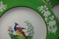 SPODE CHELSEA  BIRD GREEN R4689 SMOOTH-  LUNCH PLATE  #6   .....         http://jaapiesfinechinastore.com