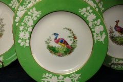 SPODE CHELSEA  BIRD GREEN R4689 SMOOTH-  LUNCH PLATE  #7   .....         http://jaapiesfinechinastore.com