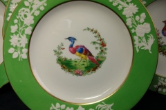 SPODE CHELSEA  BIRD GREEN R4689 SMOOTH-  LUNCH PLATE  #7   .....         https://www.jaapiesfinechinastore.com