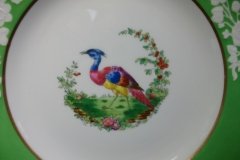 SPODE CHELSEA  BIRD GREEN R4689 SMOOTH-  LUNCH PLATE  #7   .....         http://jaapiesfinechinastore.com