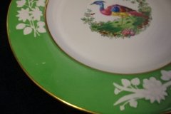 SPODE CHELSEA  BIRD GREEN R4689 SMOOTH-  LUNCH PLATE  #7   .....         http://jaapiesfinechinastore.com