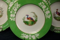 SPODE CHELSEA  BIRD GREEN R4689 SMOOTH-  LUNCH PLATE  #8   .....         http://jaapiesfinechinastore.com