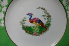 SPODE CHELSEA  BIRD GREEN R4689 SMOOTH-  LUNCH PLATE  #8   .....         http://jaapiesfinechinastore.com