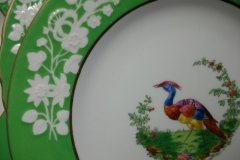 SPODE CHELSEA  BIRD GREEN R4689 SMOOTH-  LUNCH PLATE  #8   .....         http://jaapiesfinechinastore.com