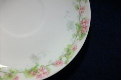 WM GUERIN WILD ROSES GARLAND- CUP & SAUCER ..... http://jaapiesfinechinastore.com