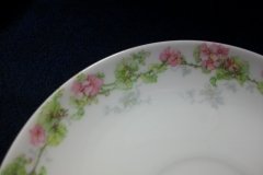 WM GUERIN WILD ROSES GARLAND- CUP & SAUCER ..... http://jaapiesfinechinastore.com