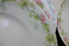 WM GUERIN WILD ROSES GARLAND-BREAD & BUTTER PLATE 6 1/4" ..... http://jaapiesfinechinastore.com