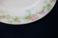 WM GUERIN WILD ROSES GARLAND-BREAD & BUTTER PLATE 6 1/4" ..... http://jaapiesfinechinastore.com