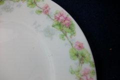 WM GUERIN WILD ROSES GARLAND-BREAD & BUTTER PLATE 6 1/4" ..... http://jaapiesfinechinastore.com