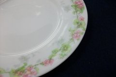 WM GUERIN WILD ROSES GARLAND-BREAD & BUTTER PLATE 6 1/4" ..... http://jaapiesfinechinastore.com