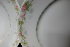 WM GUERIN WILD ROSES GARLAND- DINNER PLATE  9 7/8" ..... http://jaapiesfinechinastore.com