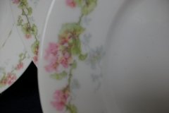 WM GUERIN WILD ROSES GARLAND- SALAD  PLATE  7  3/8" ..... http://jaapiesfinechinastore.com