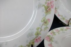 WM GUERIN WILD ROSES GARLAND- SALAD  PLATE  7  3/8" ..... http://jaapiesfinechinastore.com