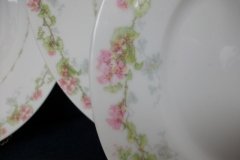 WM GUERIN WILD ROSES GARLAND- SALAD  PLATE  7  3/8" ..... http://jaapiesfinechinastore.com
