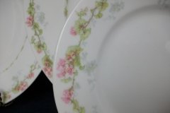 WM GUERIN WILD ROSES GARLAND- SALAD  PLATE  7  3/8" ..... http://jaapiesfinechinastore.com