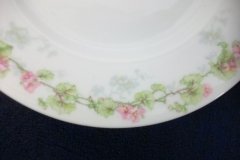 WM GUERIN WILD ROSES GARLAND- SALAD  PLATE  7  3/8" ..... http://jaapiesfinechinastore.com