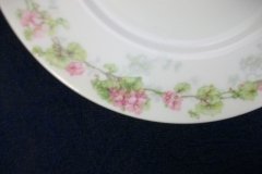 WM GUERIN WILD ROSES GARLAND- SALAD  PLATE  7  3/8" ..... http://jaapiesfinechinastore.com