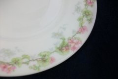 WM GUERIN WILD ROSES GARLAND- SALAD  PLATE  7  3/8" ..... http://jaapiesfinechinastore.com