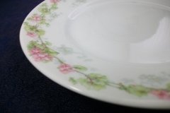 WM GUERIN WILD ROSES GARLAND- SALAD  PLATE  7  3/8" ..... http://jaapiesfinechinastore.com