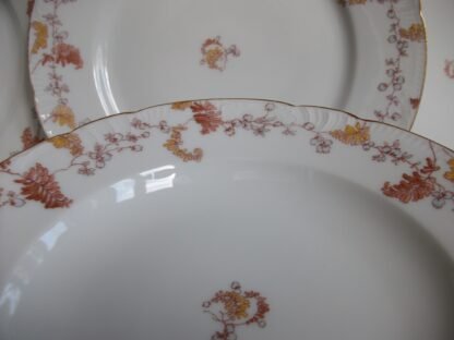 HAVILAND-CFH/GDM- AUTUMN RIMMED SOUP BOWL