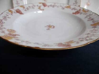 HAVILAND-CFH/GDM- AUTUMN RIMMED SOUP BOWL