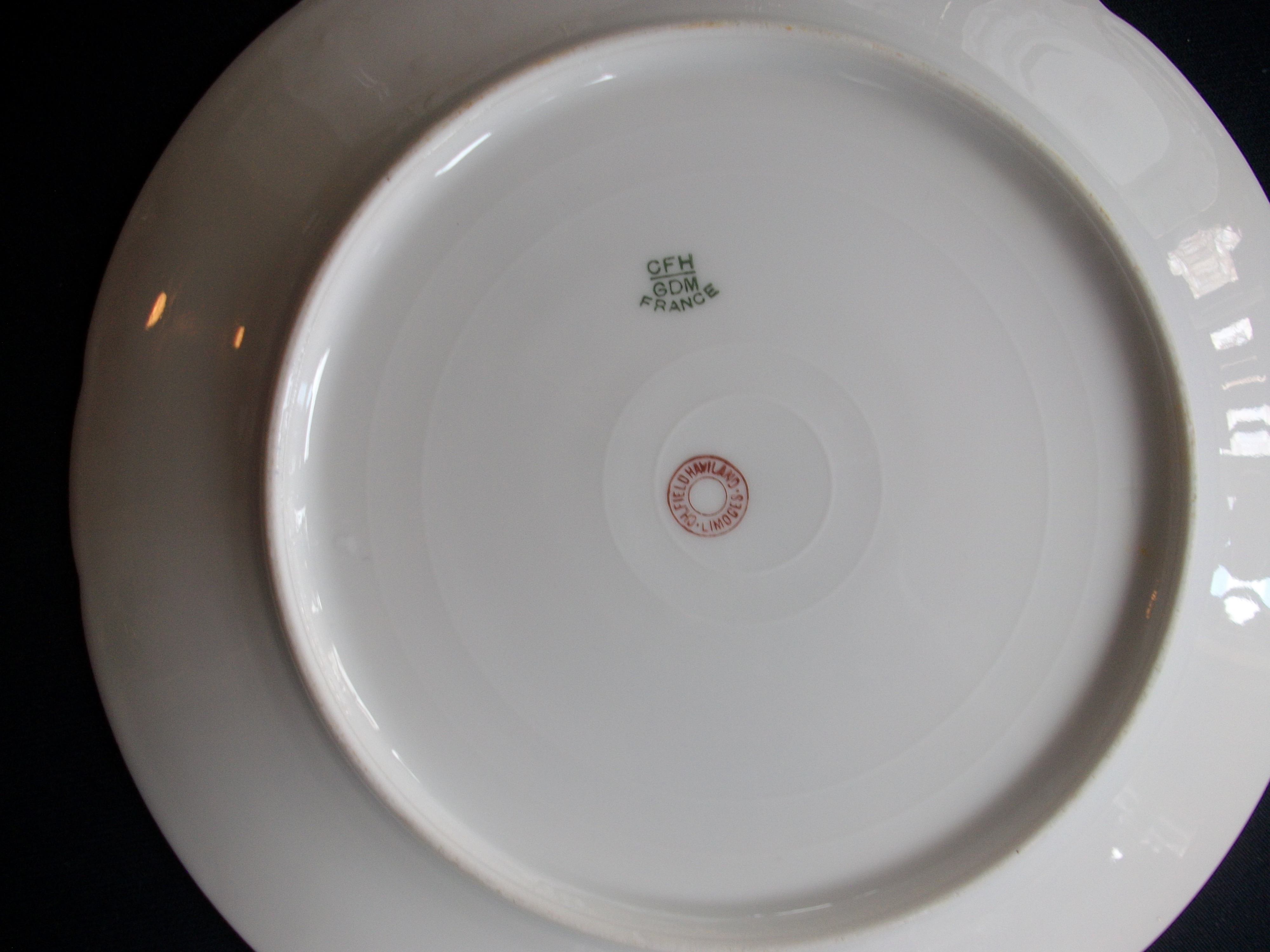 HAVILAND-CFH/GDM- AUTUMN DINNER PLATE - jaapies FineChinaStore