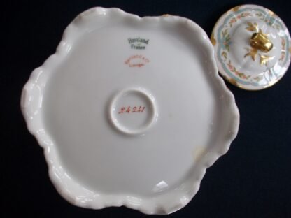 HAVILAND #24241 CUP and SAUCER