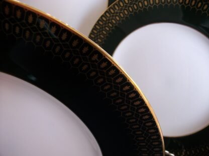 COALPORT CHATEAU DINNER PLATE