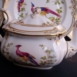 SPODE CHELSEA BIRD- TEA POT