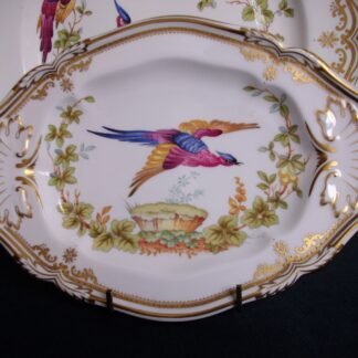 SPODE CHELSEA BIRD- RELISH DISH/ UNDERPLATE