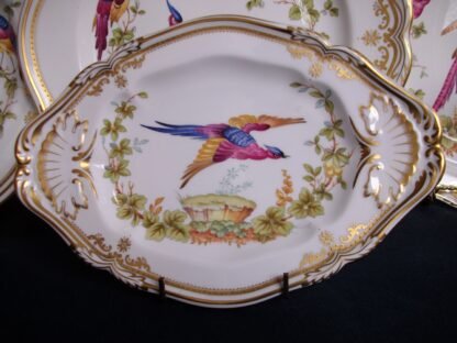 SPODE CHELSEA BIRD- RELISH DISH/ UNDERPLATE