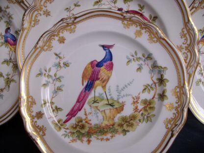 SPODE CHELSEA BIRD- SALAD PLATES