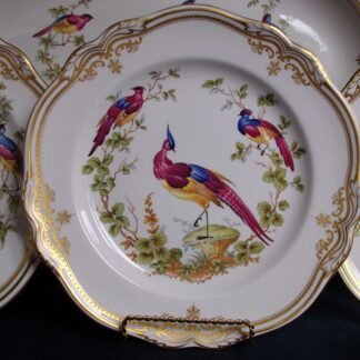 SPODE CHELSEA BIRD- DINNER PLATES