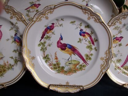 SPODE CHELSEA BIRD- DINNER PLATES