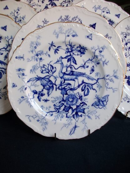 COALPORT CAIRO- LUNCHEON PLATES