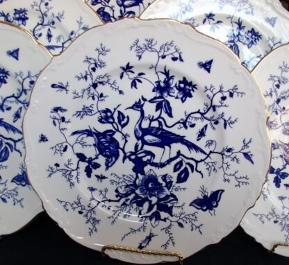 COALPORT CAIRO- DINNER PLATES
