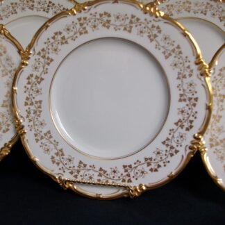 COALPORT Y9864- DINNER PLATES
