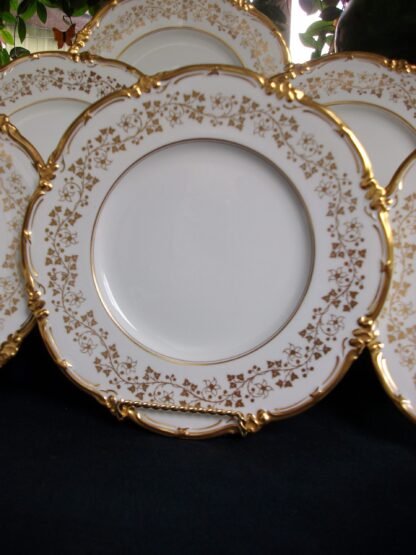 COALPORT Y9864- DINNER PLATES