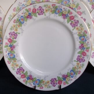 COALPORT MAYTIME- LUNCH PLATES