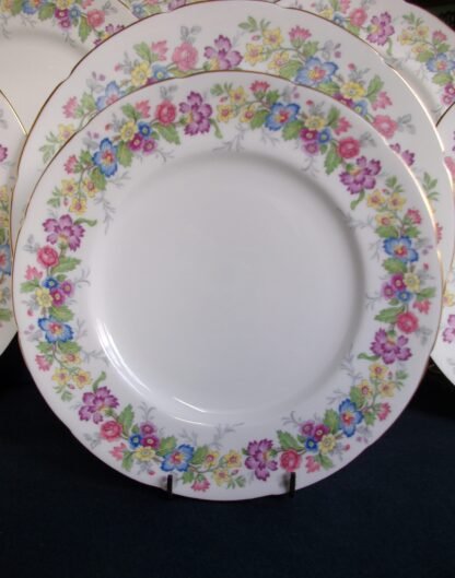 COALPORT MAYTIME- LUNCH PLATES