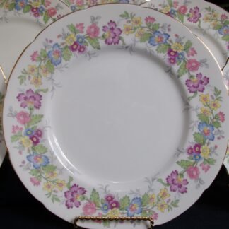 COALPORT MAYTIME- DINNER PLATES