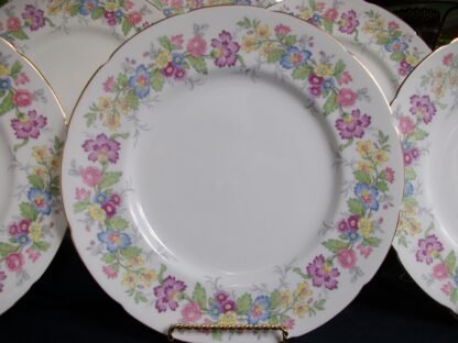 COALPORT MAYTIME- DINNER PLATES